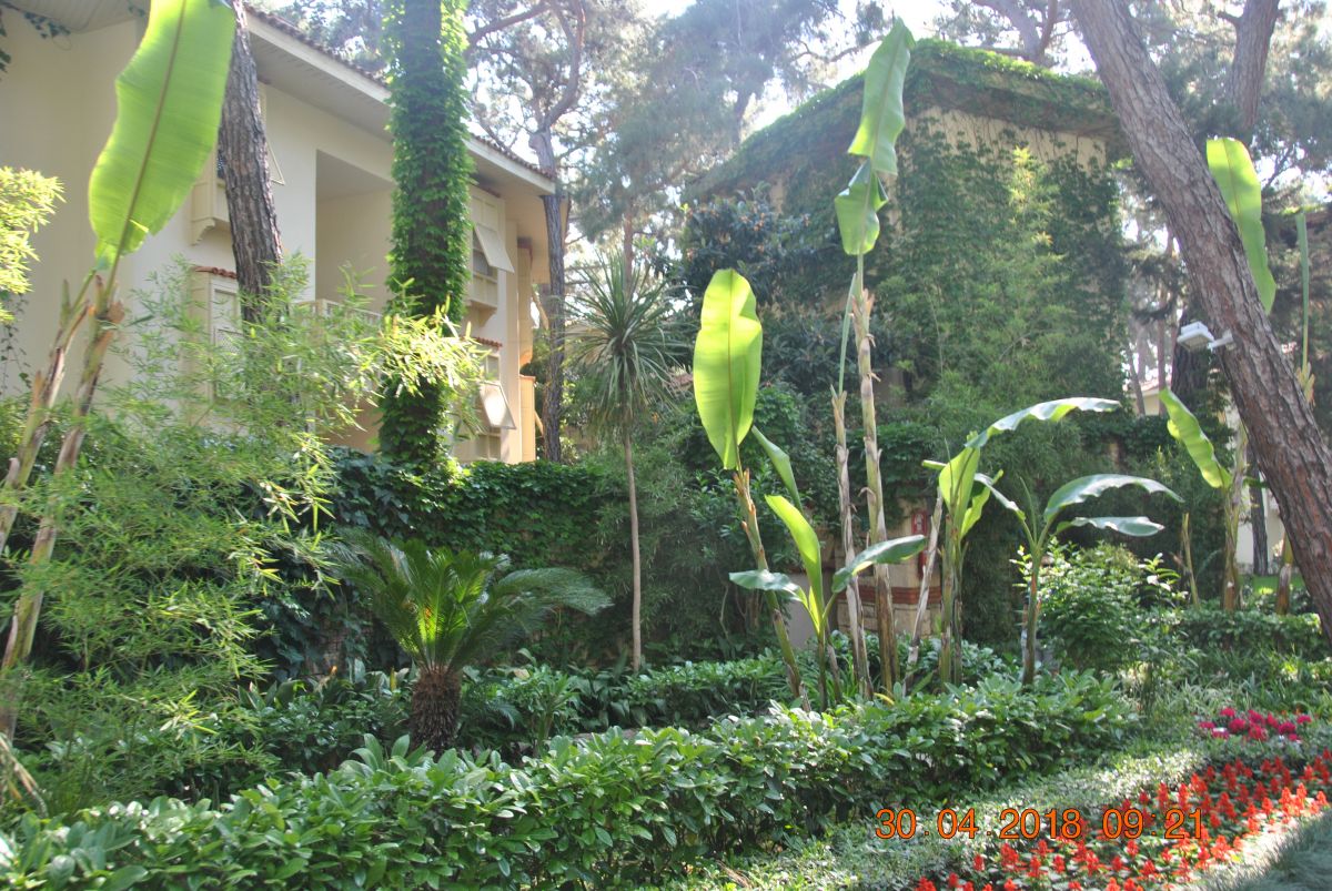 imagini hotel KEMER HOLIDAY CLUB